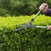 PROCEDIMIENTOS BÁSICOS EN SERVICIOS DE JARDINERÍA – AGAJ01
