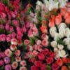Actividades de floristería (AGAJ0110)
